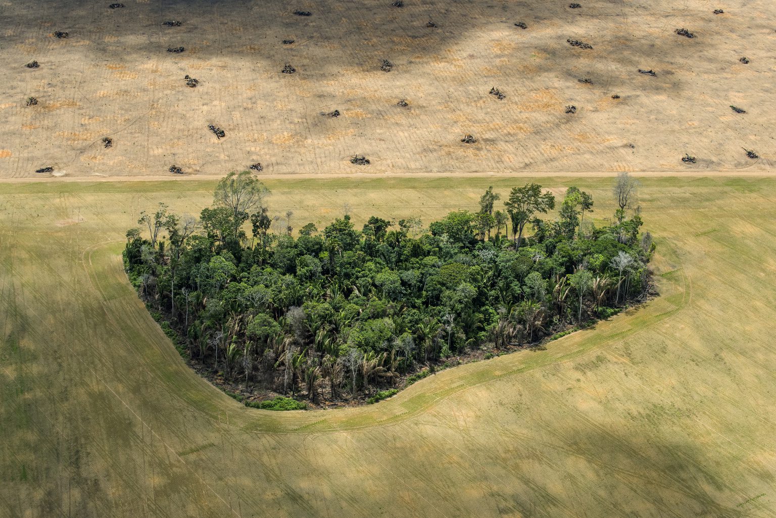 A remnant of rainforest stands in fields cleared for agriculture, near the Tapajós River, Brazilian Amazon.