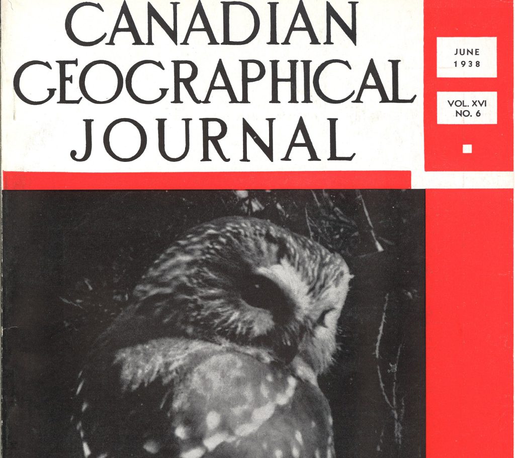 June 1938 cover featuring a saw-whet owl
