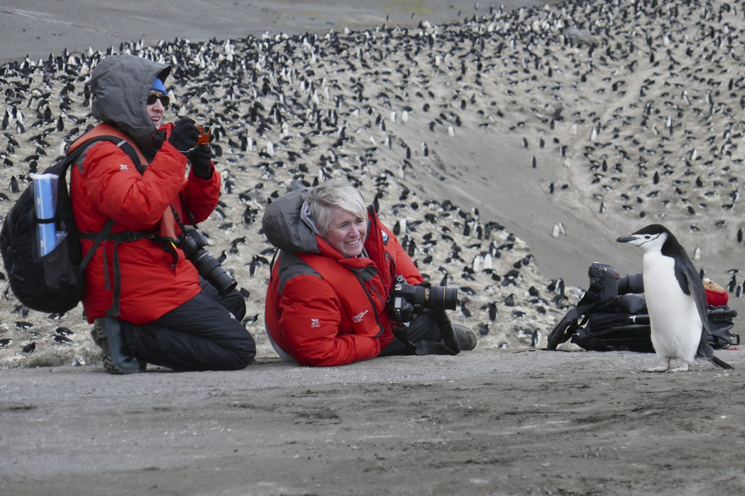 Shelley Ball and Dyan deNapoli photographing chinstrap penguin in Antarctica