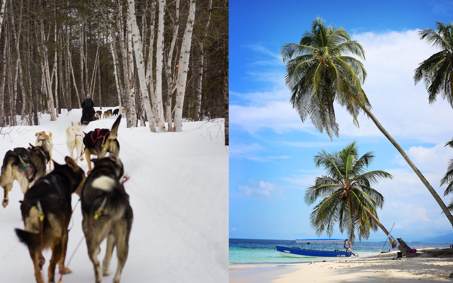 Dogsledding in Quebec and a pristine beach in Panama