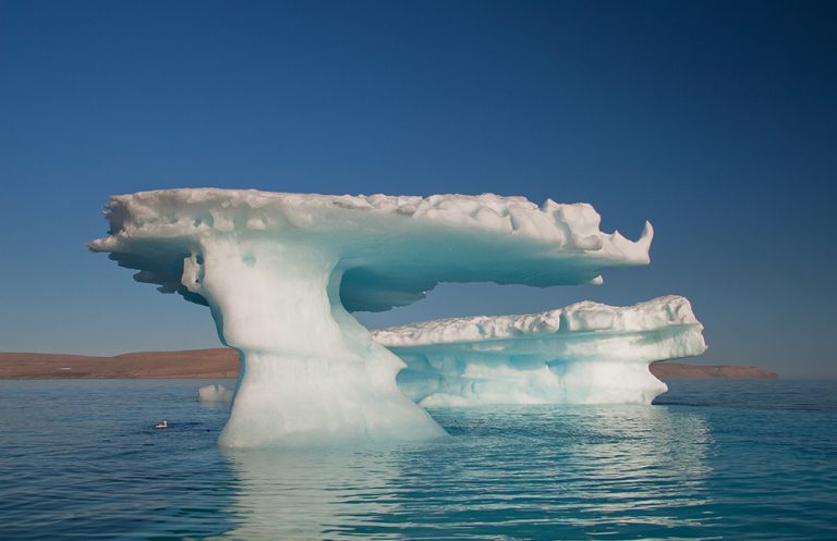 Icebergs in the Canadian High Arctic