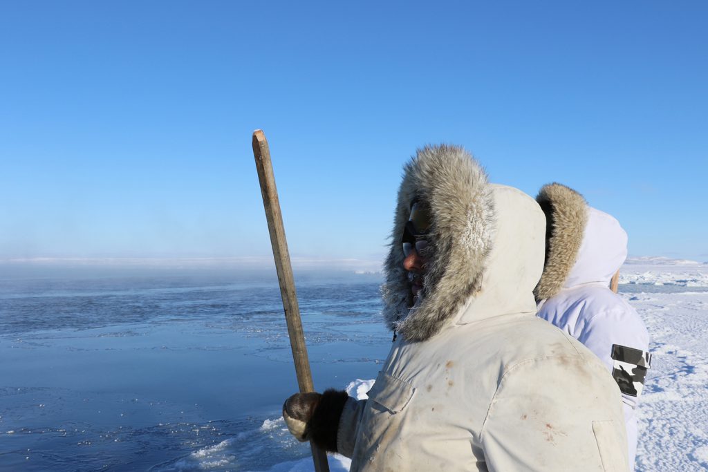 Arctic, sea ice, Hudson Bay, scientist, environment, climate change