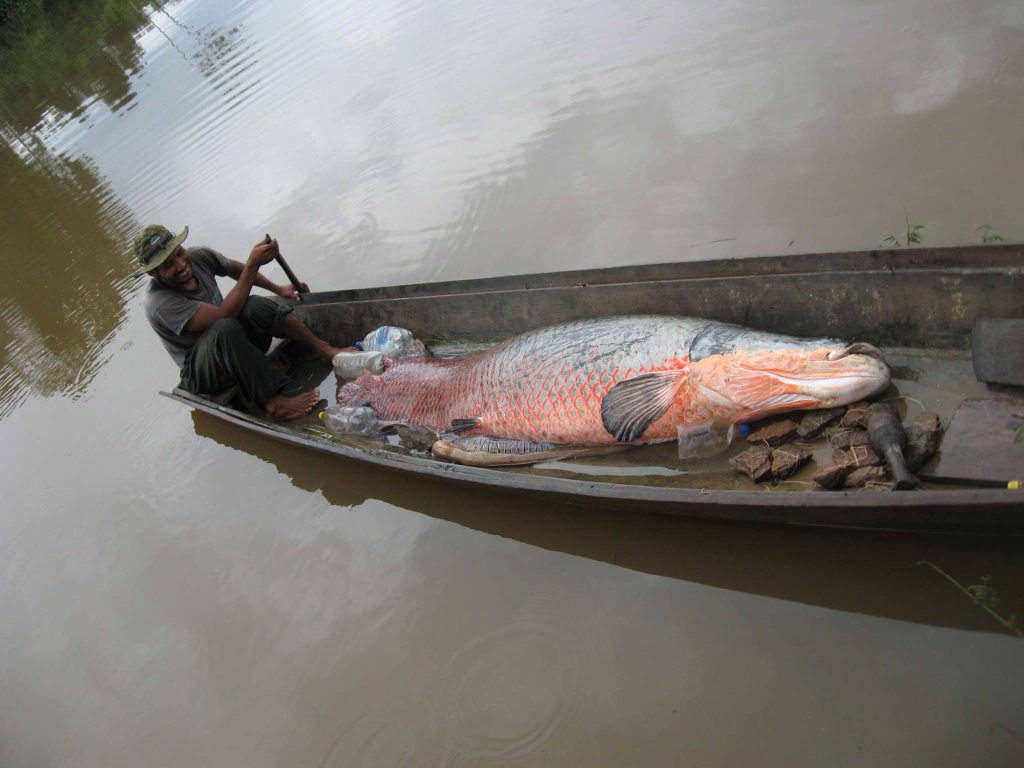 A Bolivian fisherman on a tributary of the Amazon River
