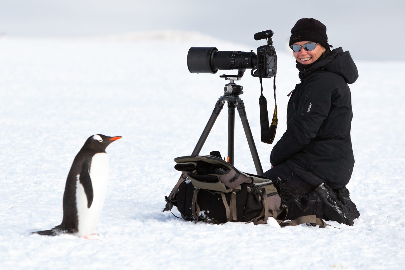 Daisy Gilardini with penguin in Antarctica