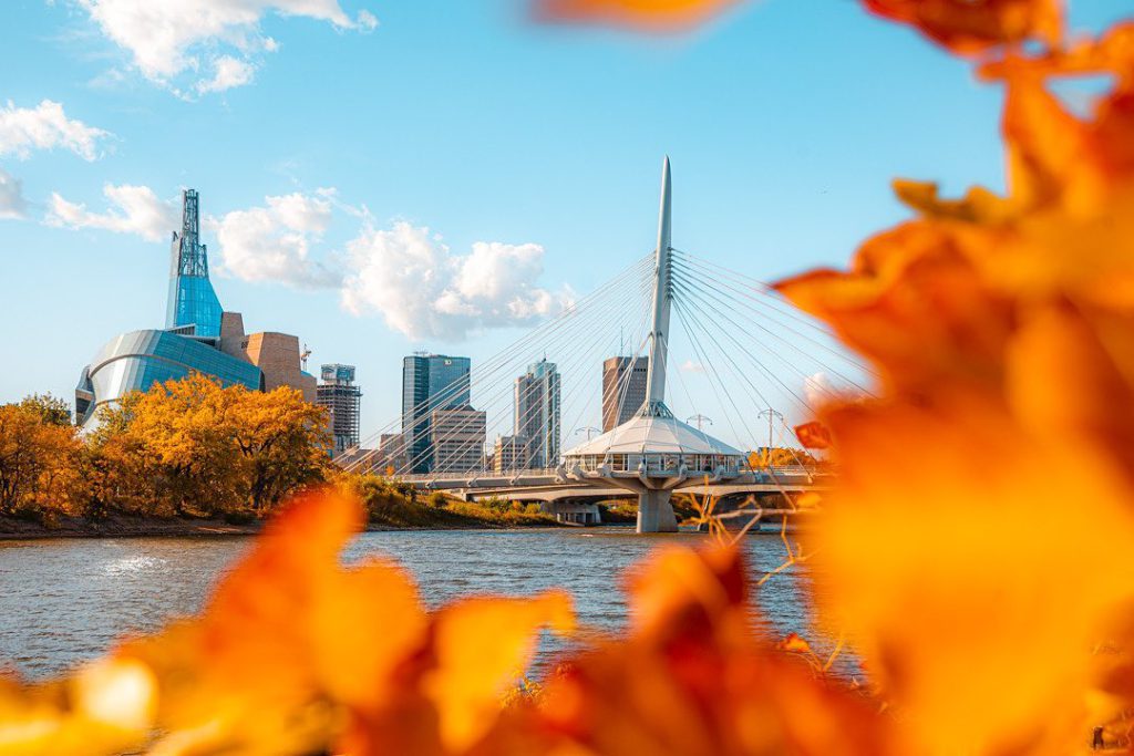 Downtown Winnipeg framed by fall leaves