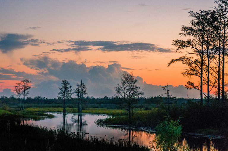 Sunset Atchafalaya delta