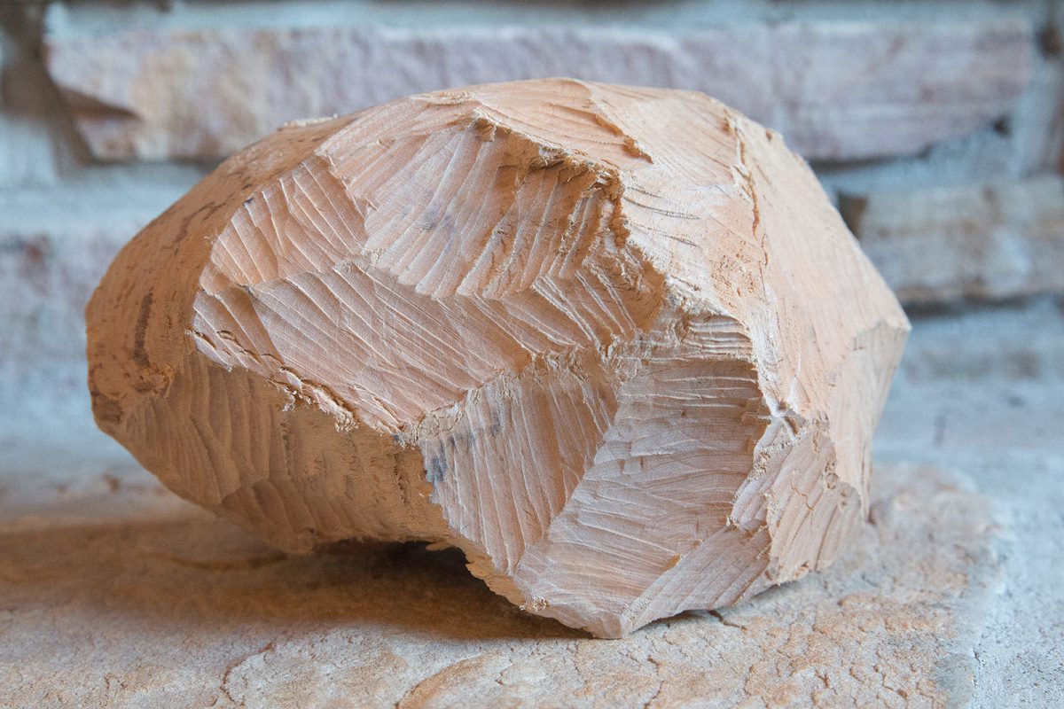 The strange, compelling artistry of “beaver sculptures” Canadian