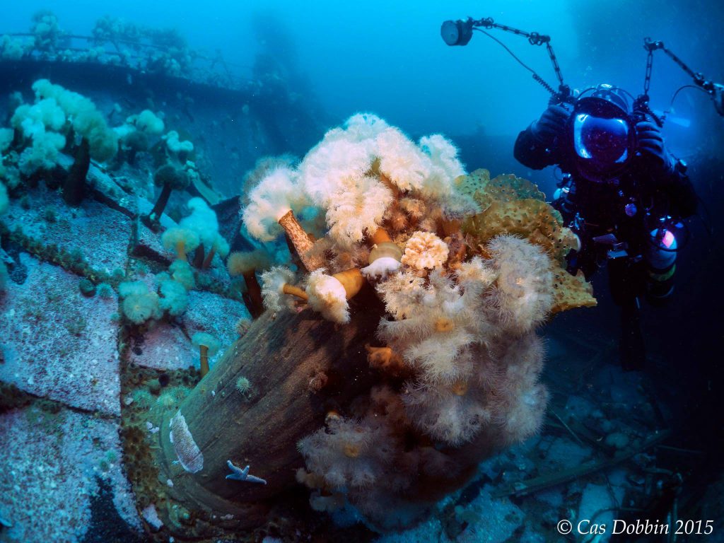 Jill Heinerth documenting shipwrecks in Newfoundland. 