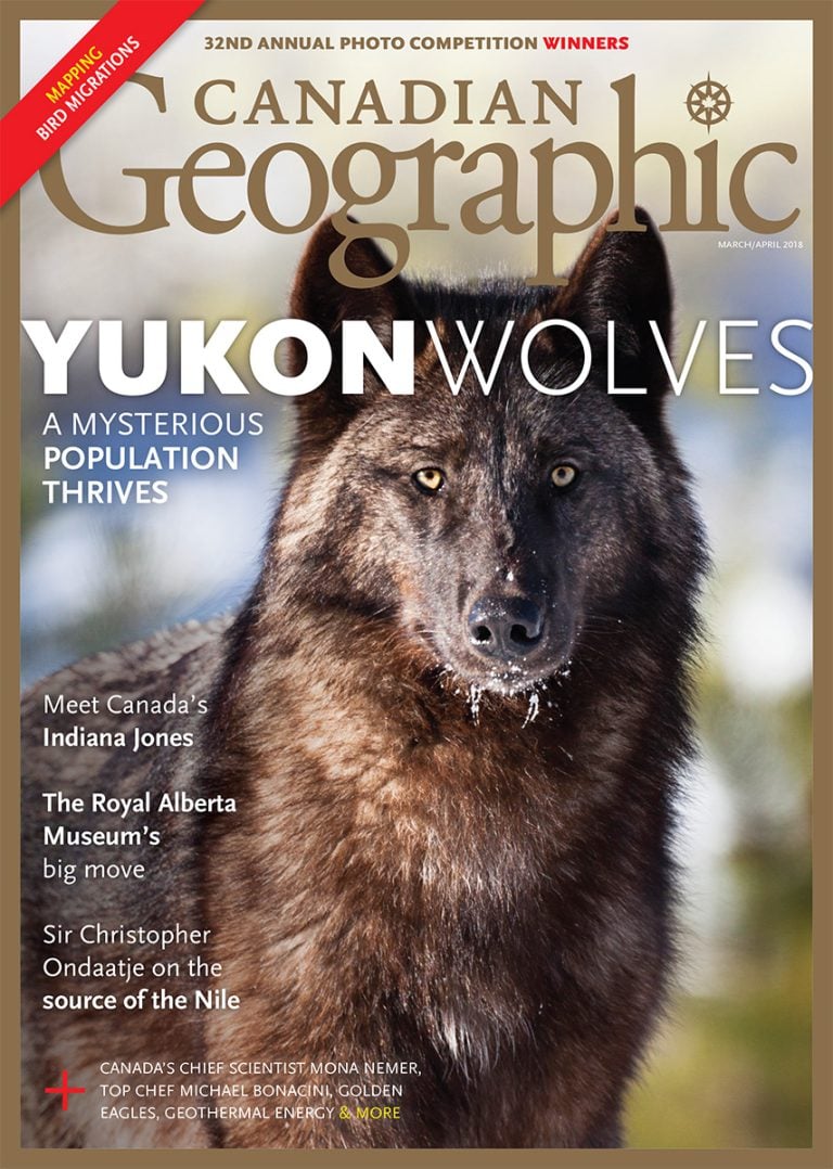 Yukon Wolves