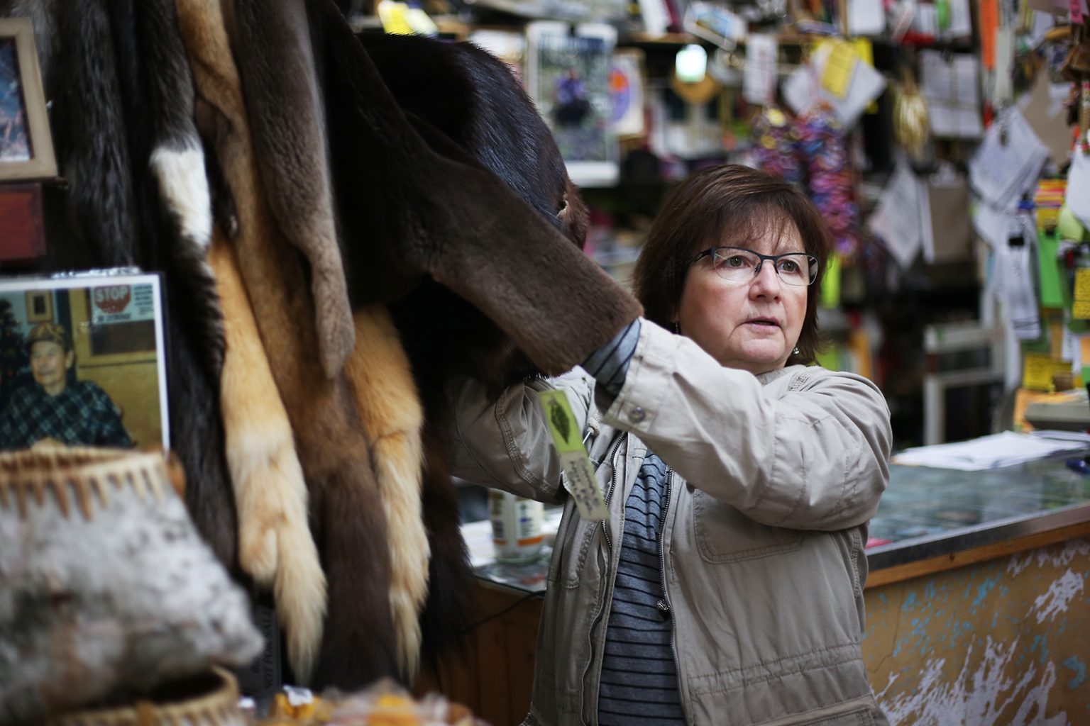 Diane Robertson displays some of the raw furs for sale at Robertson Trading Co. in La Ronge, Sask.