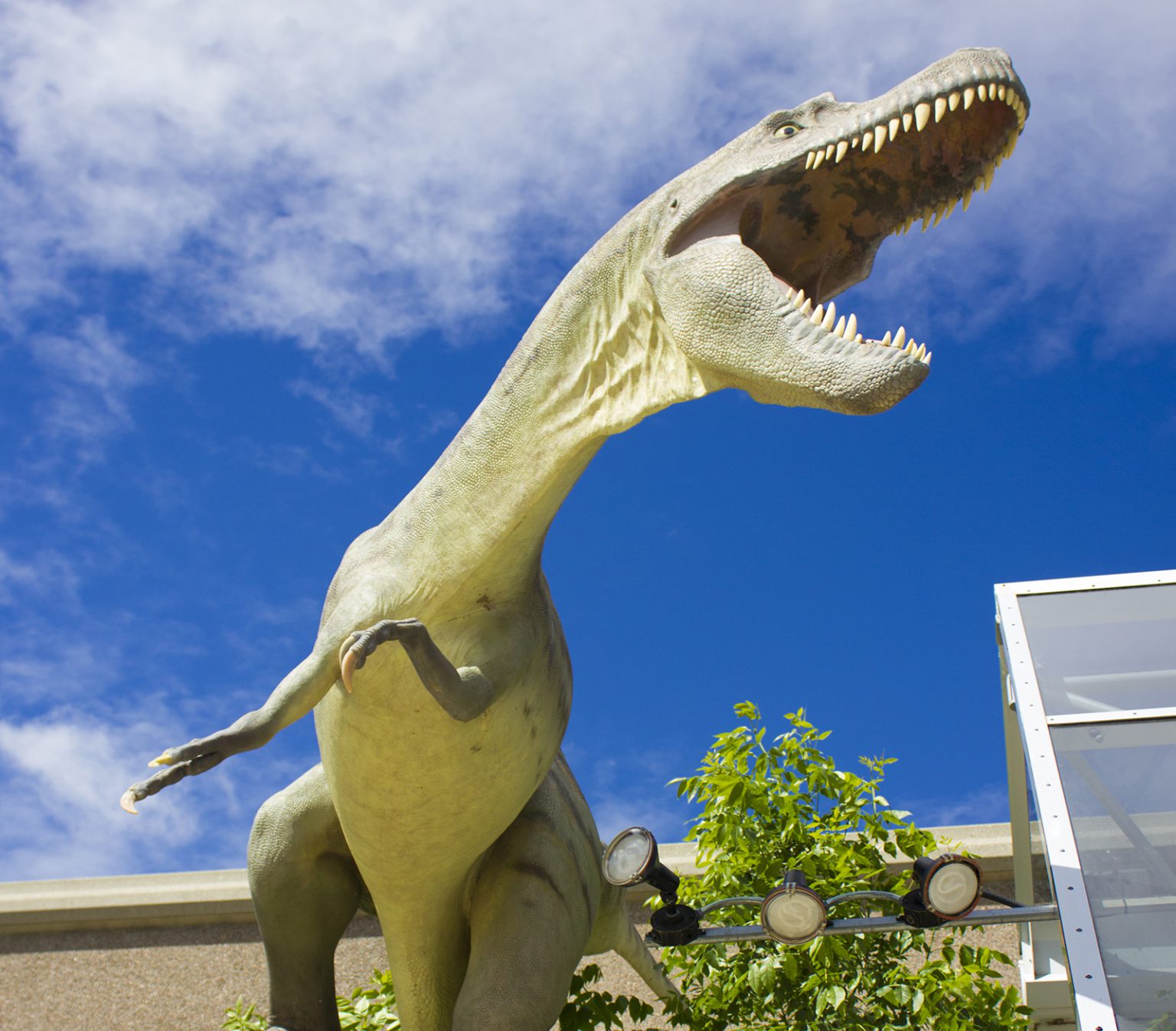 royal tyrrell museum