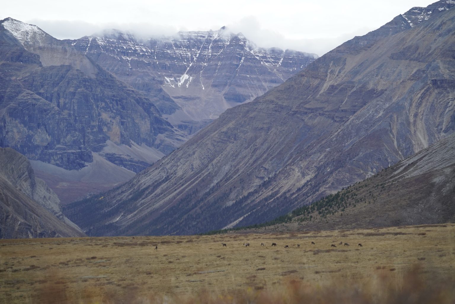 Muskwa-Kechika