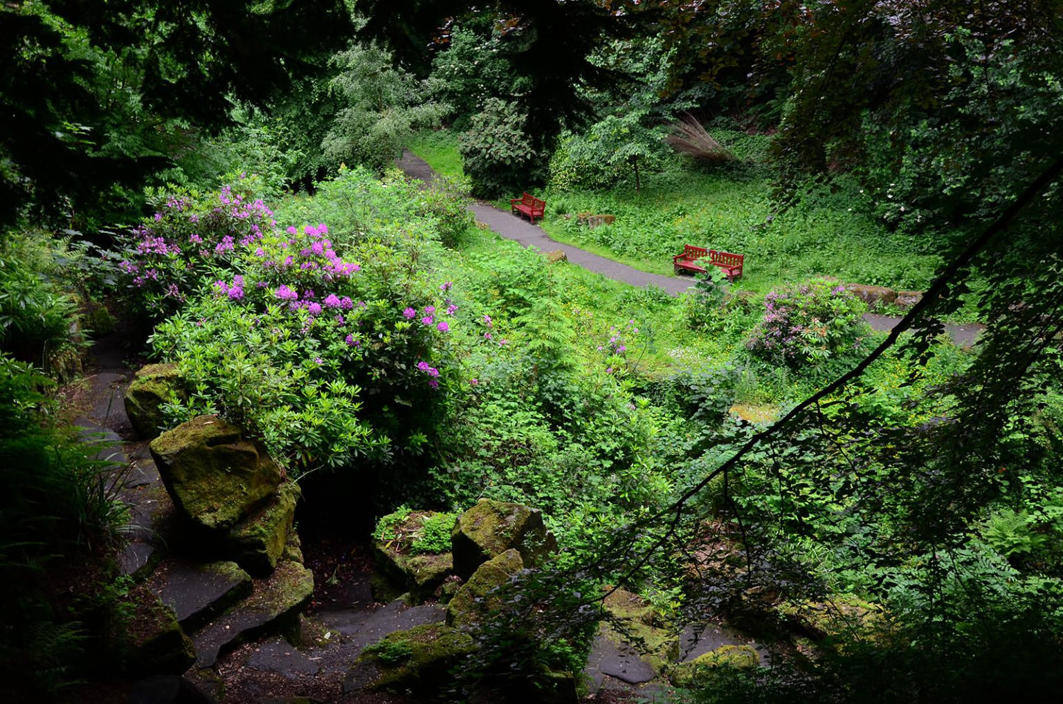 Pittencrieff Park, Dunfermline, Scotland 