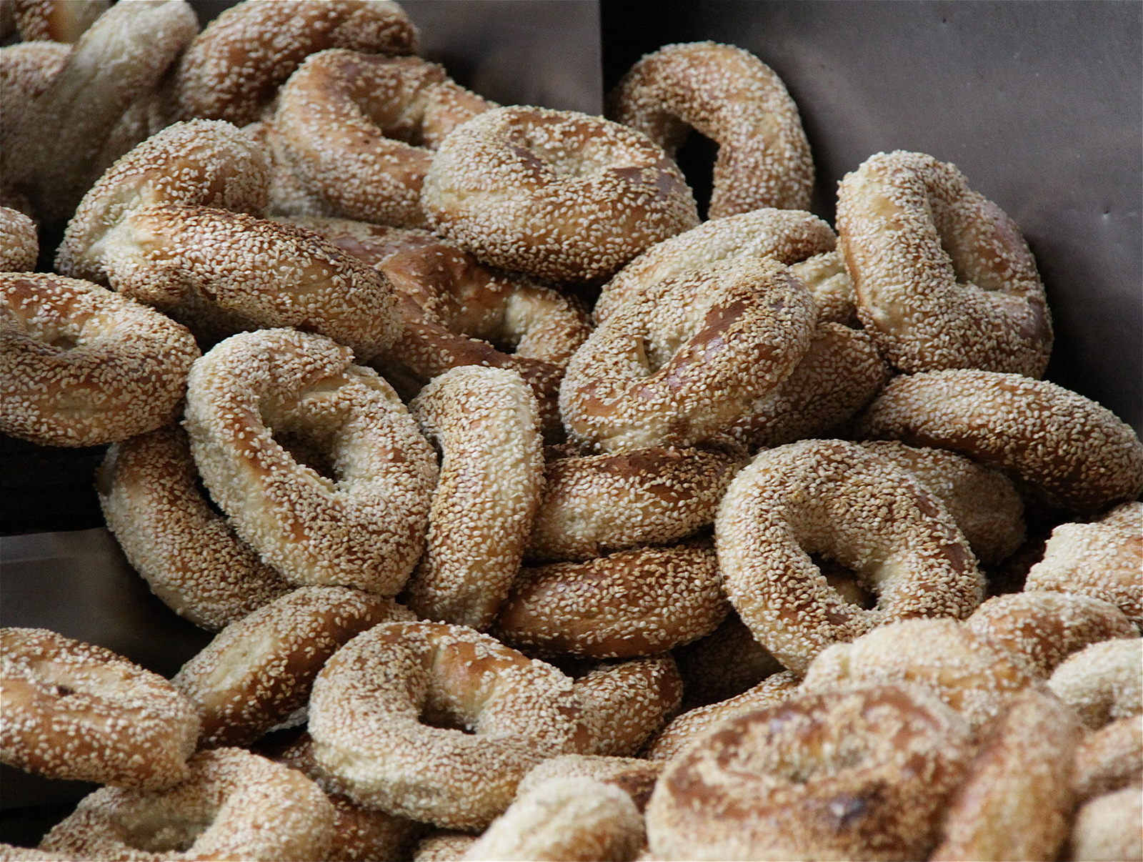 A tale of two bagels Canadian Geographic