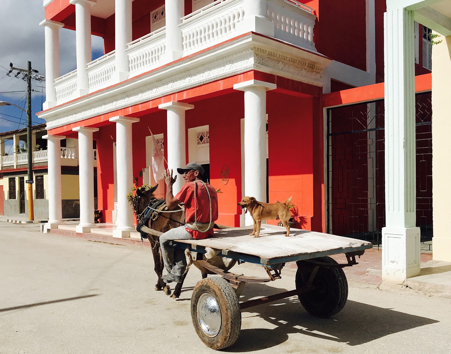 Dog riding horse cart in Gibara, Cuba