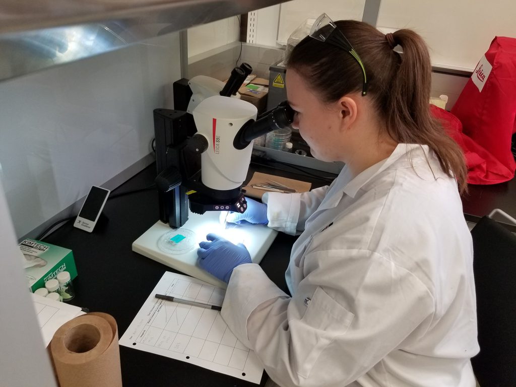 scientist in lab coat looking at microscope slide