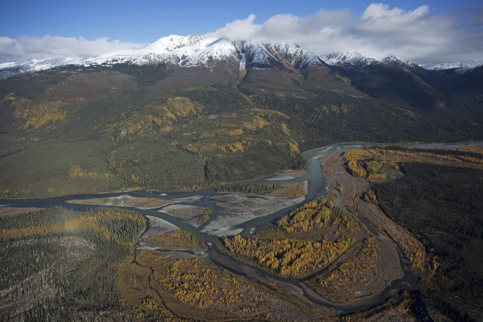 mountain forest river yukon