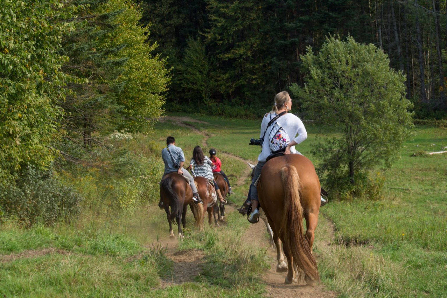 Horseback riding in the Laurentians with Jacques Cartier Excursions