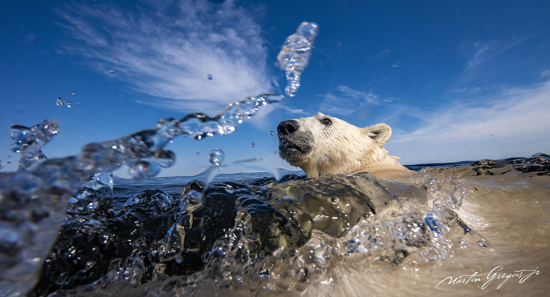 CanadianSlovak photographer Martin Gregus wins Wildlife Photographer