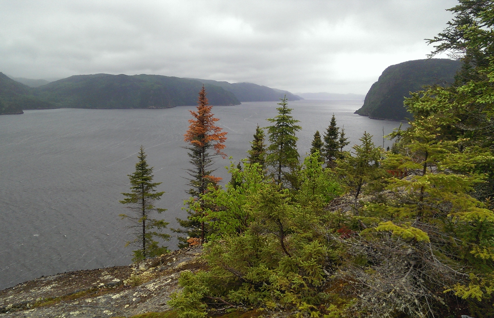 Five musttry outdoor activities in Quebec’s Saguenay region Canadian