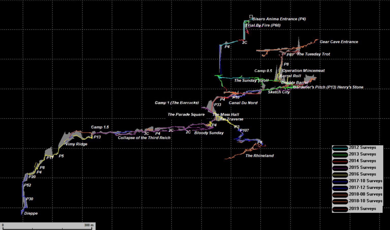 Profile map of Bisaro Anima