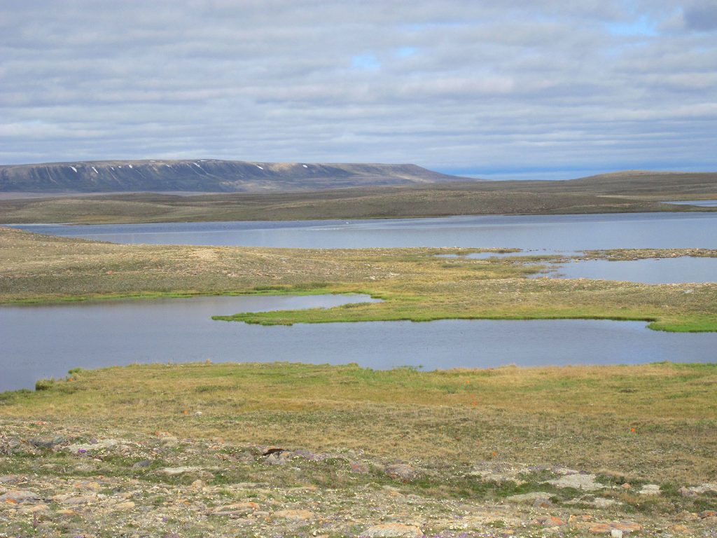 Le paysage entourant Cambridge Bay, où l’entomologiste Elyssa Cameron mène sa recherche sur les arthropodes de l’Arctique