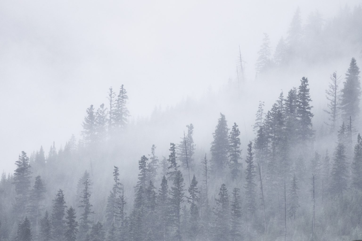 Morning mist in the Cariboo mountains