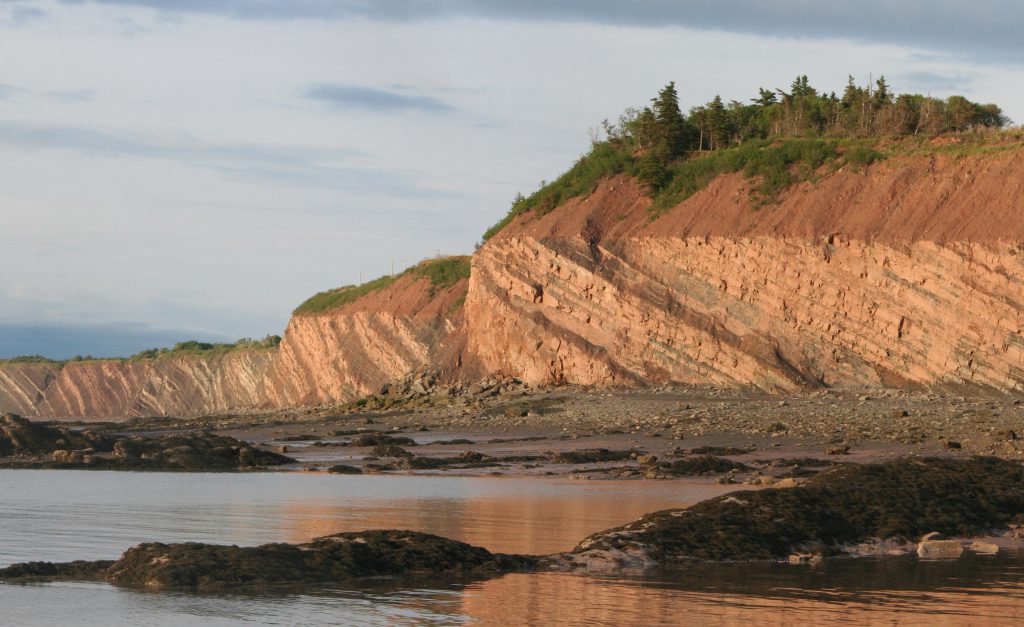 Joggins Fossil Cliffs