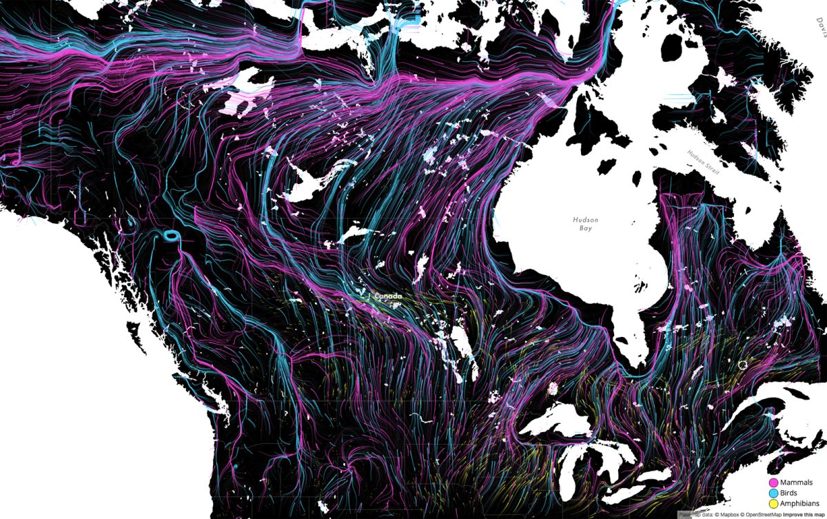 Stunning map predicts how wildlife will move to adapt to climate change ...