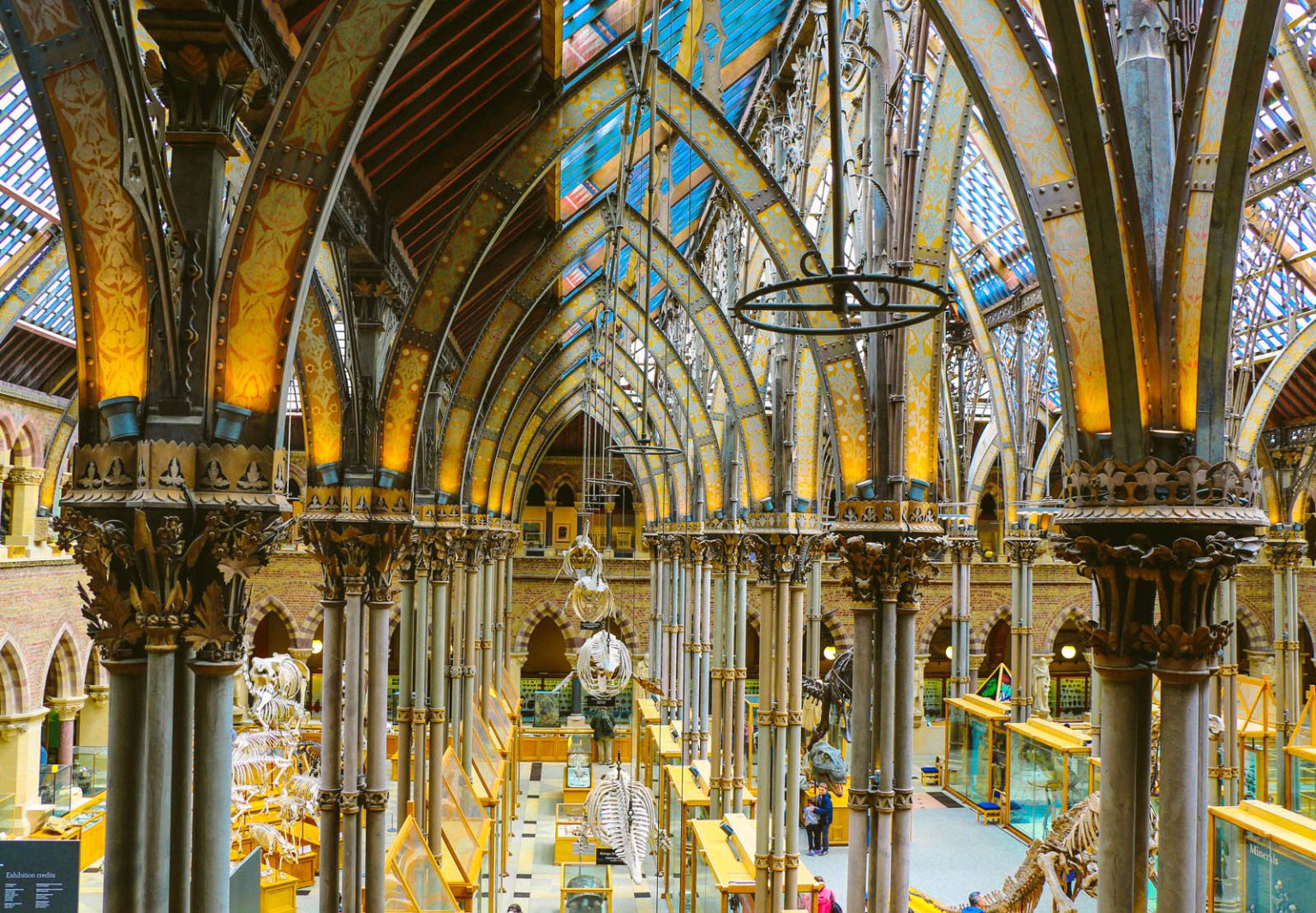 The Oxford University Museum of Natural History