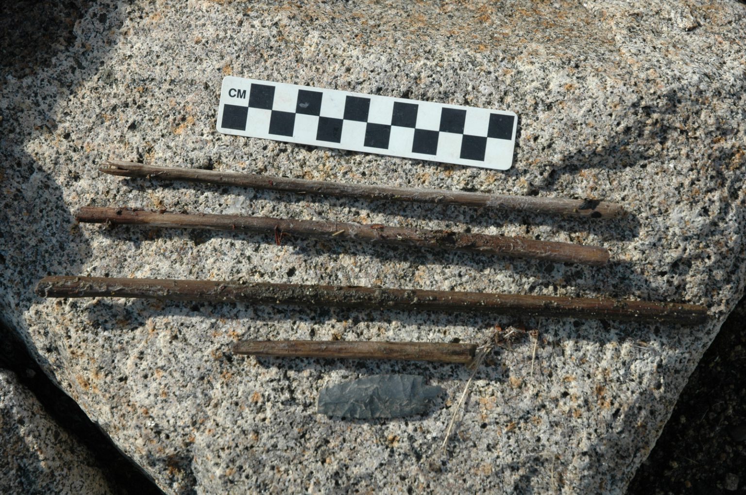 Remains of a 270-year-old birch arrow shaft and stone arrowhead found exposed on a  mountain ice patch in the Northwest Territories. (Photo: T. Andrews/PWNHC)