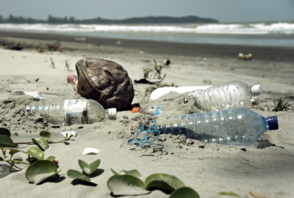 Plastic to outweigh all of the fish in the ocean by 2050 Canadian