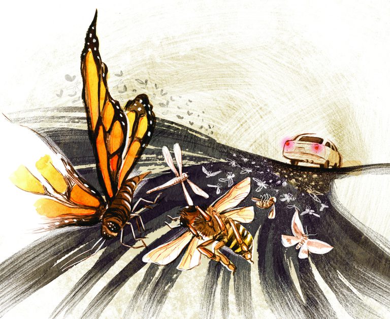 illustration by Charlene Chua