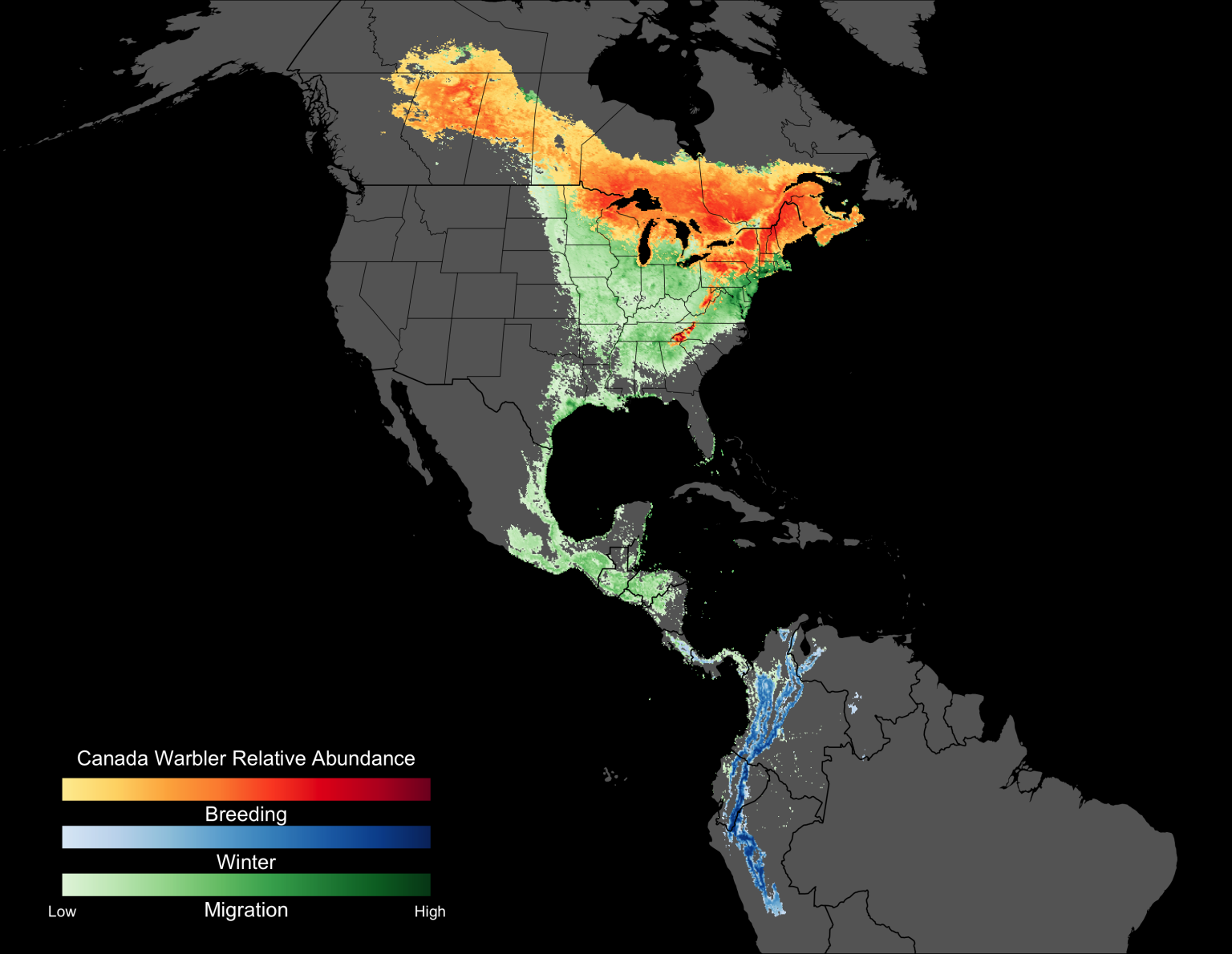 Canada Warblers breed in northern hardwood and boreal forests of primarily Eastern Canada with dense, often wet, understory (orange ? red). In winter (blue), Canada Warblers can be found along the lower slopes of the northern Andes, in the dense understory of cloud forests and in bird-friendly shade coffee plantations. During migration (green) Canada Warblers use a range of habitats in locations between Canada and South America, spanning from coastal, forest, wetland to urban areas. 