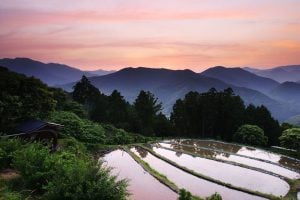 The Kii mountains at dusk, as seen on the Kumano Kodo
