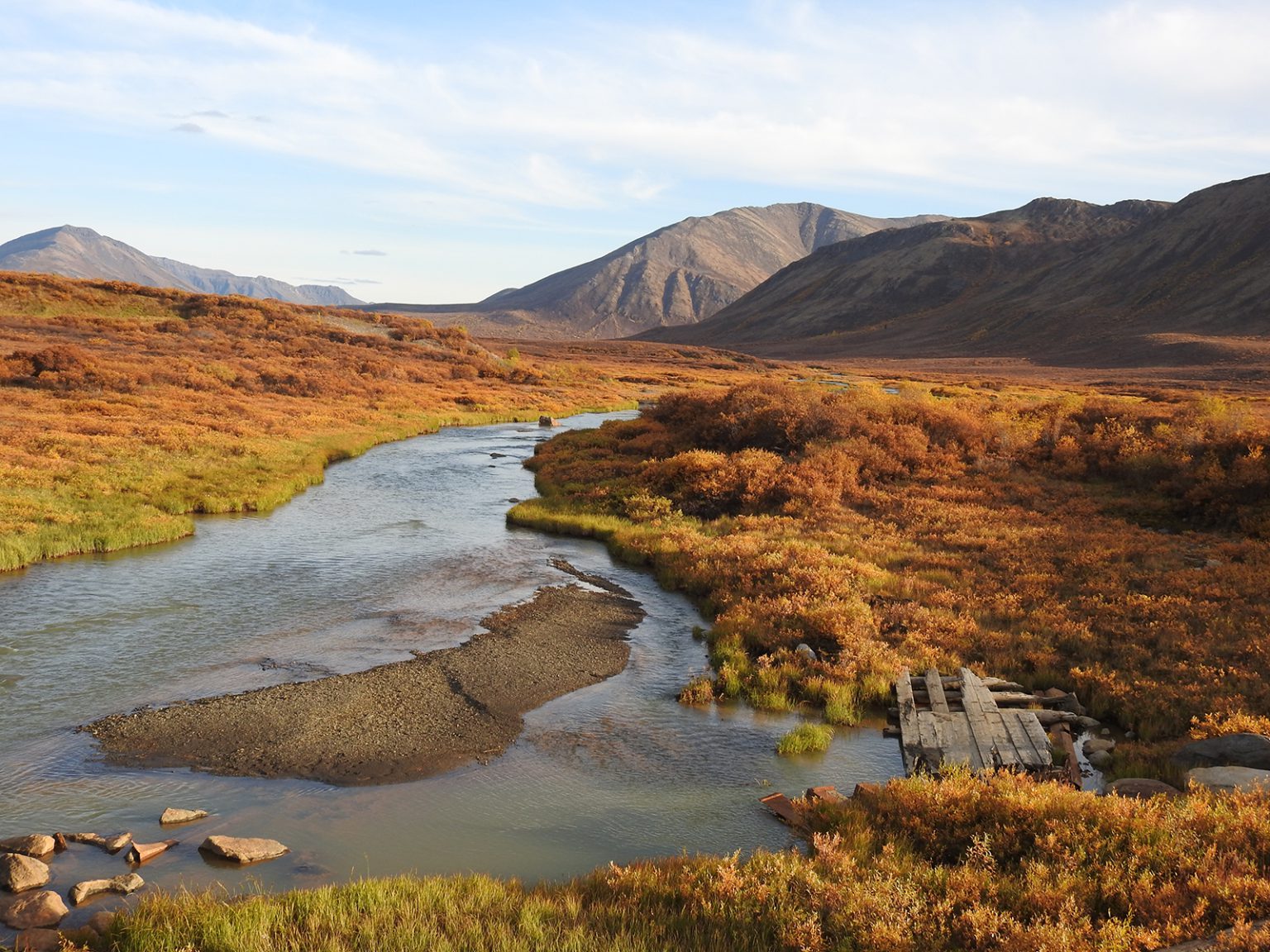 tombstone territorial park in autumn