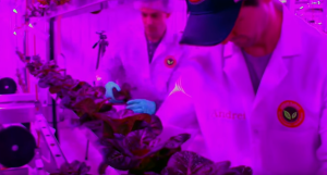 Video still