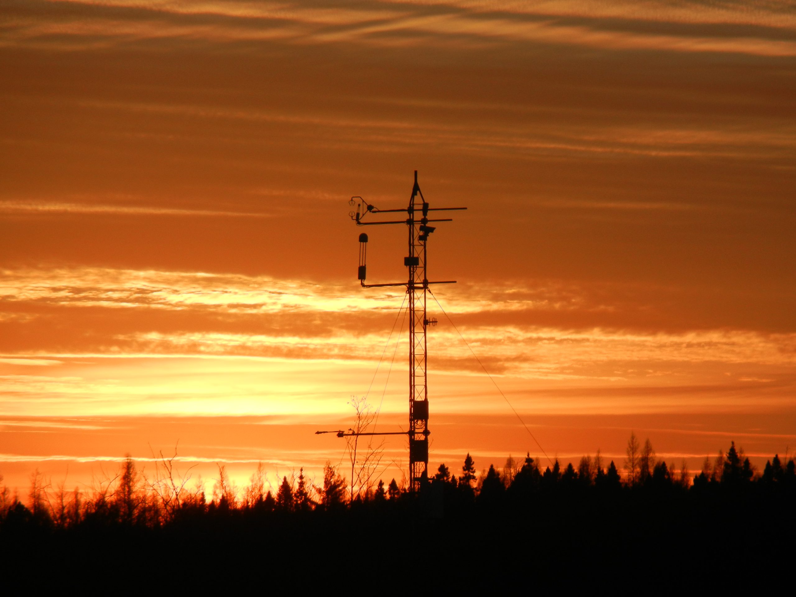 Saving the peatlands: Water loss in northern peatlands can accelerate ...