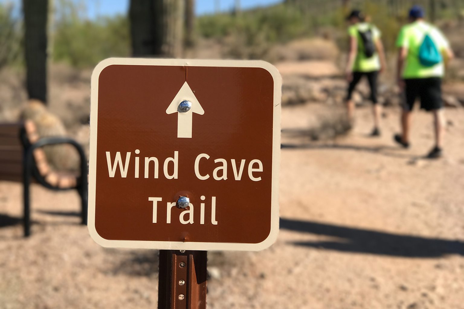 Hiking the Wind Cave trail, mesa's crown jewel in Usery Mountain regional park