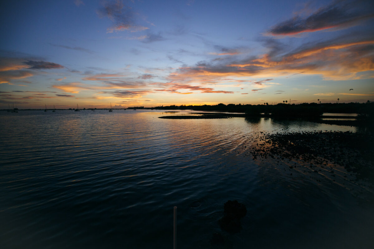 Born of the bayou | Canadian Geographic
