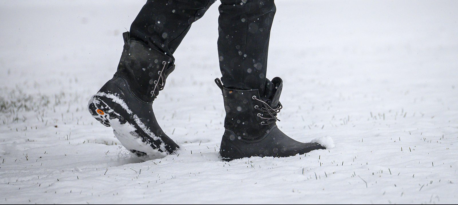bogs winter