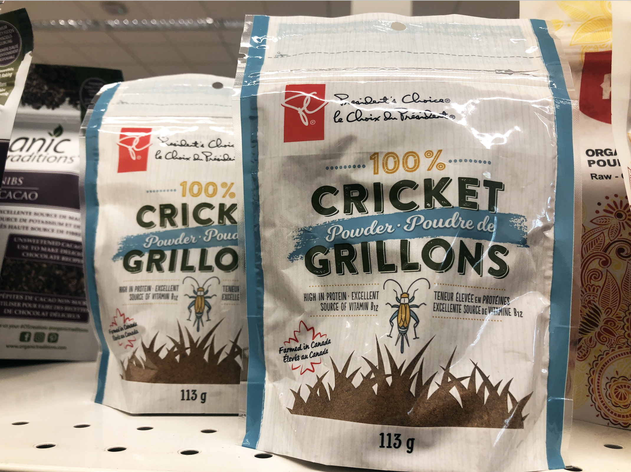 Cooking with crickets A sustainable food option packed with protein Canadian Geographic