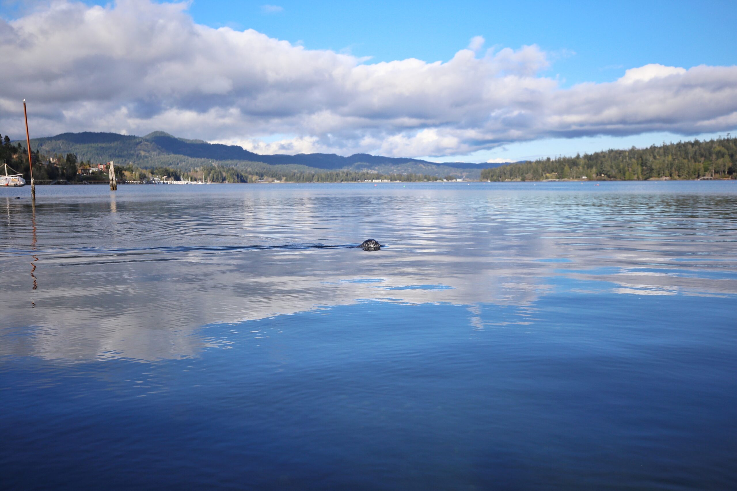 Spirit Loop Bc In search of self-care: Exploring B.C.’s South Island Spirit Loop ...