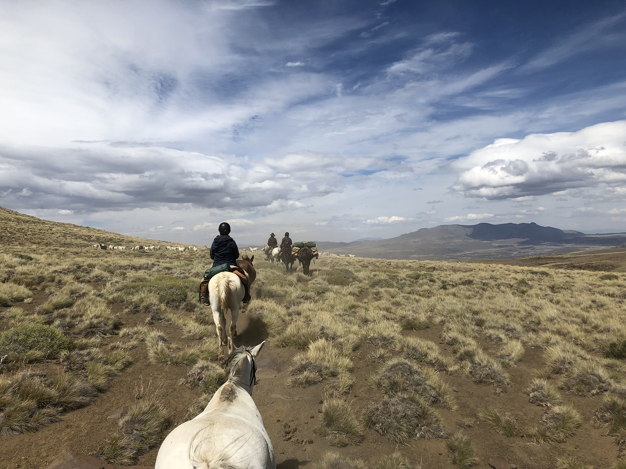 A wild ride through northern Patagonia, Argentina  Canadian Geographic