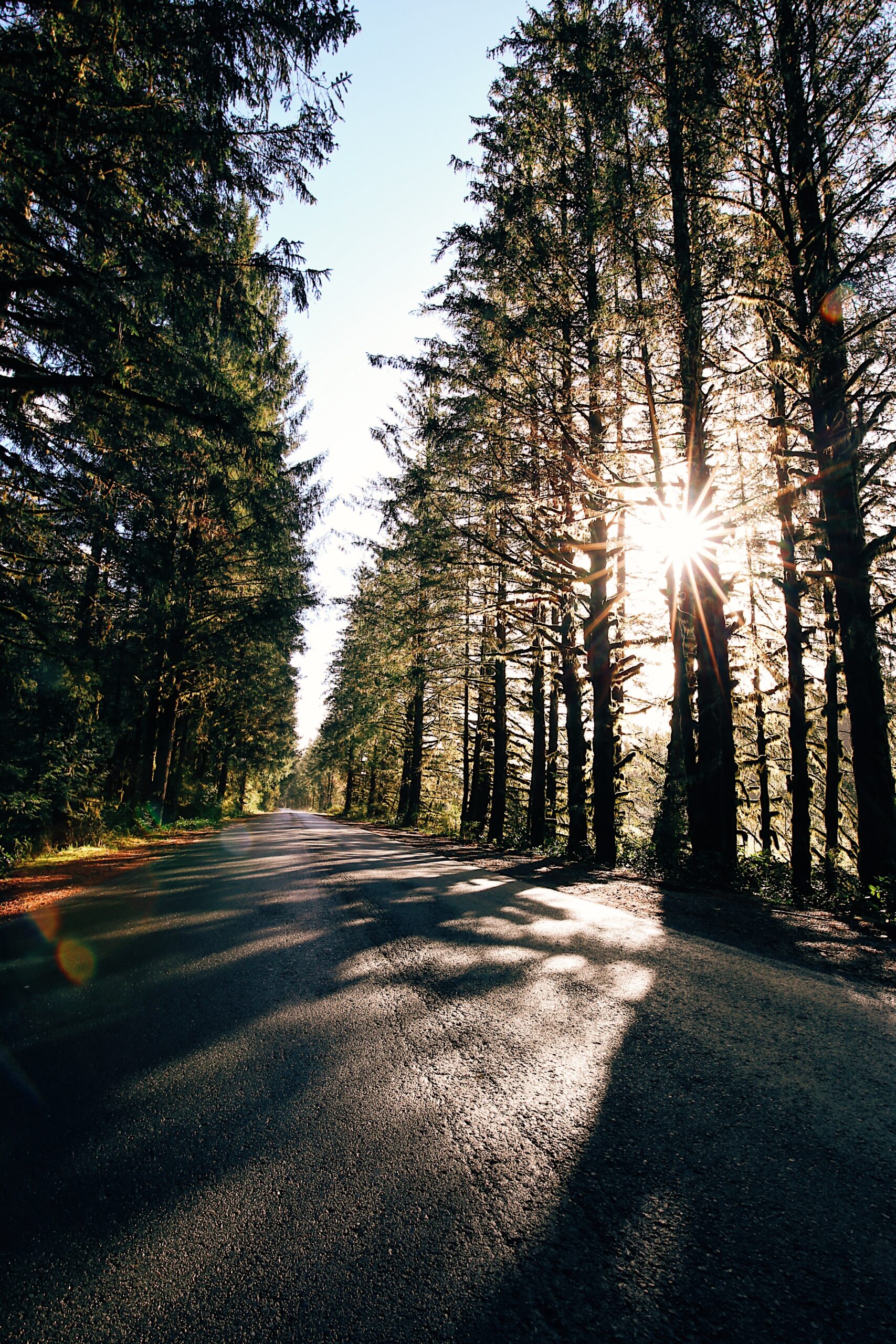 Spirit Loop Bc In search of self-care: Exploring B.C.’s South Island Spirit Loop ...