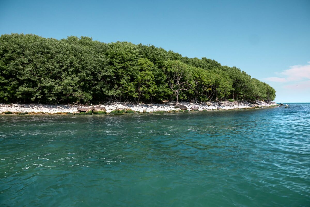 Rumrunners’ island The fascinating story of Canada’s southernmost