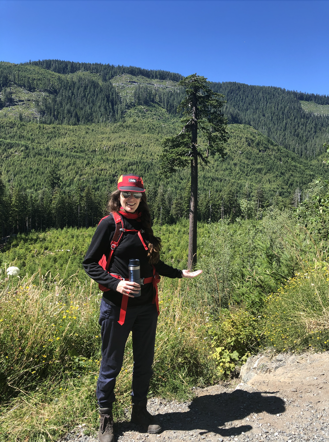 Big tree hunters: saving the last untouched areas of the planet ...