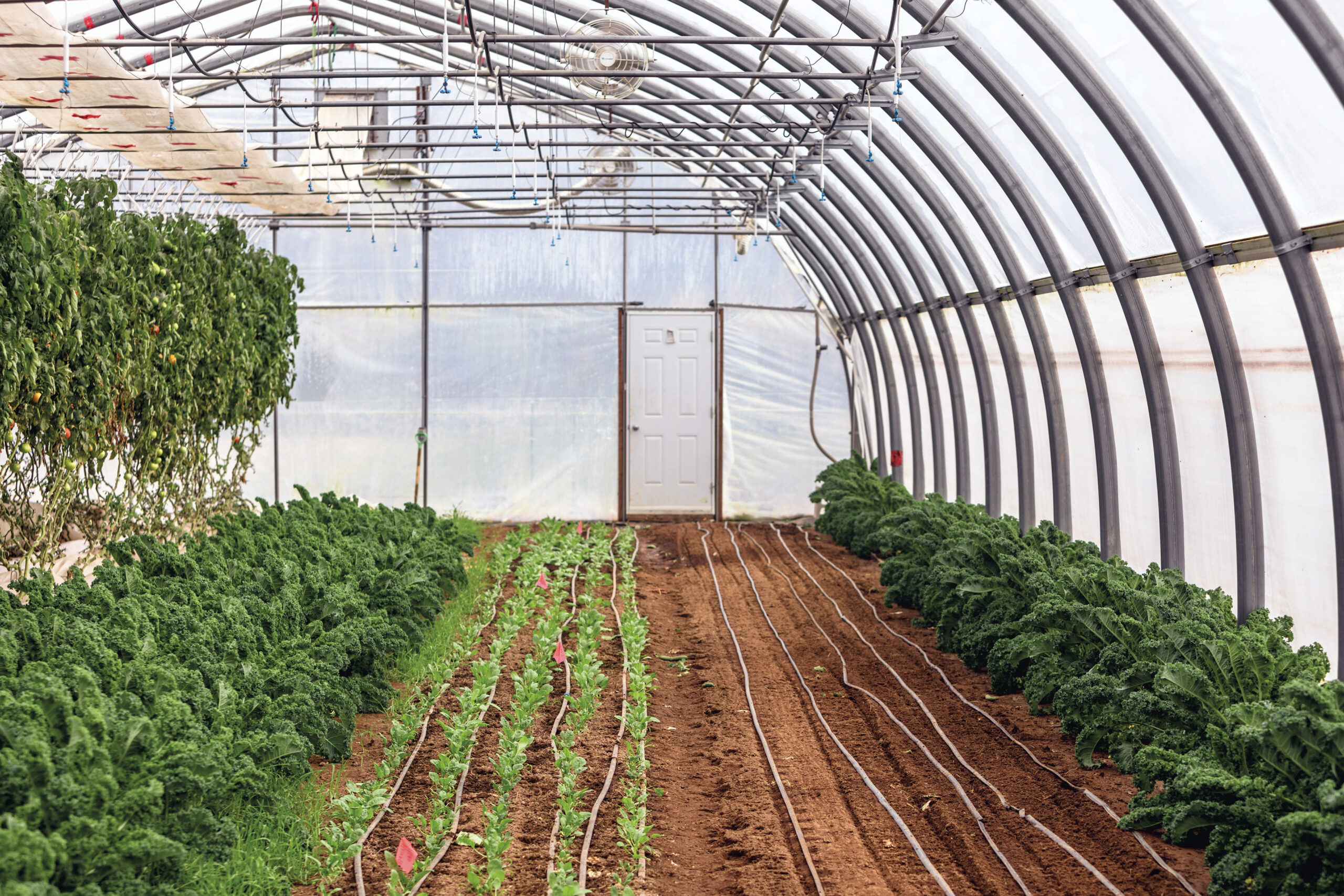 Farming the Greenbelt five farms to visit in Ottawa Canadian Geographic