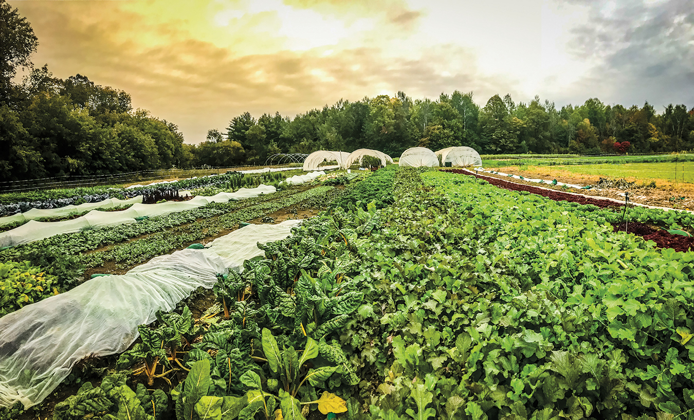 Farming the Greenbelt five farms to visit in Ottawa Canadian Geographic