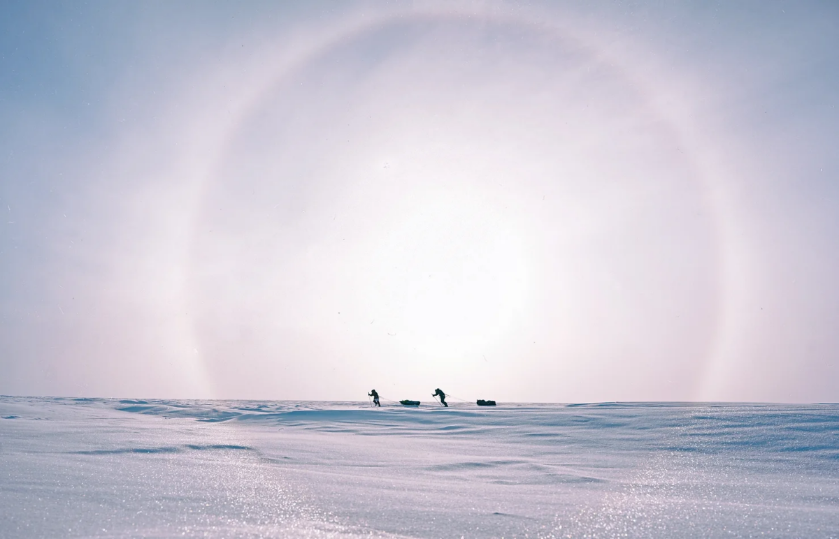 Arctic Awe with Pascale Marceau | Canadian Geographic - Vimarsana News